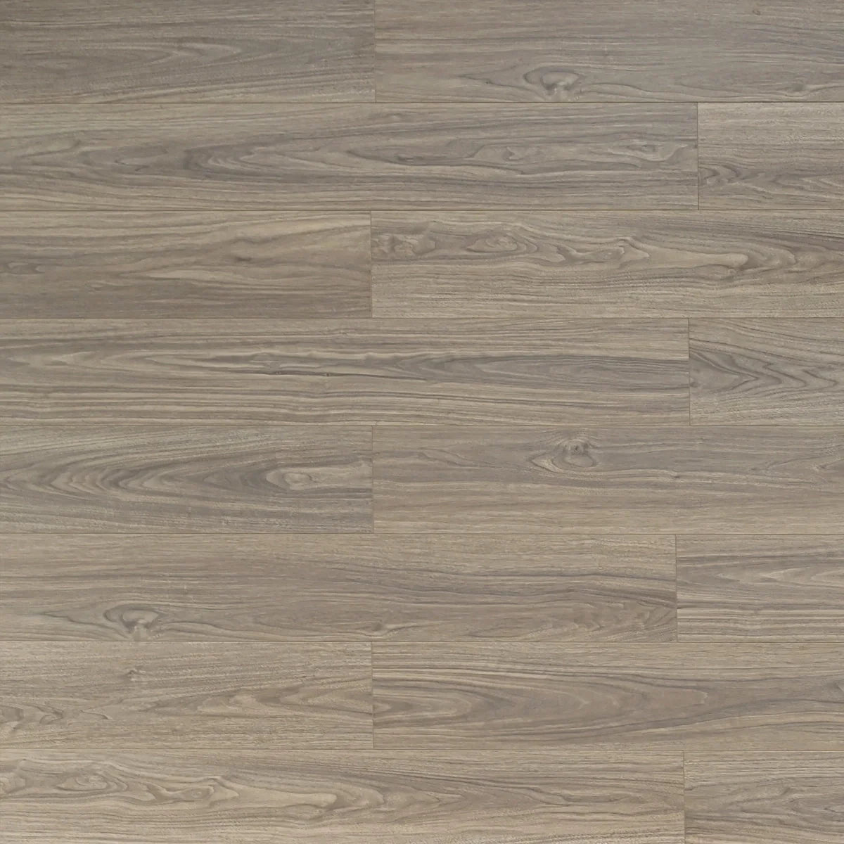 洋楽 Teflune TF6603-F | Santa Fe – Toucan