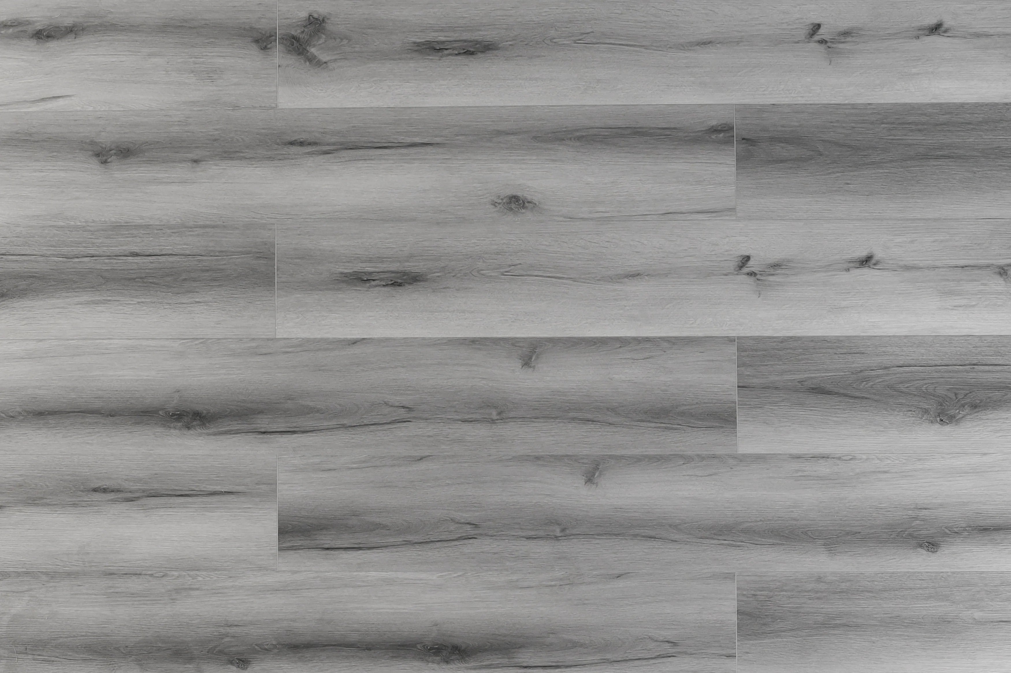 TFSPC504-F | Monolith – Toucan