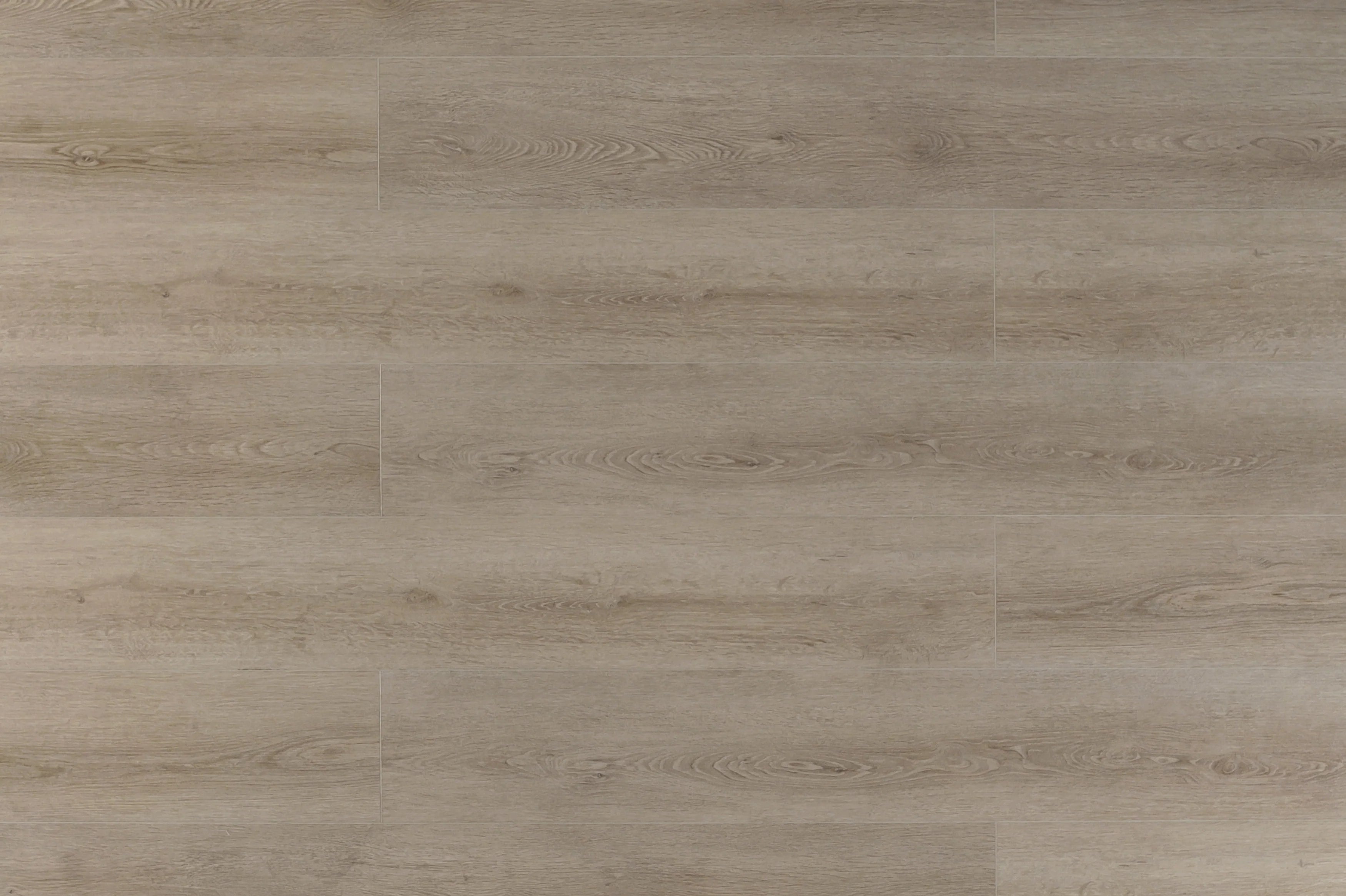 TFSPC507-F | French Grey – Toucan
