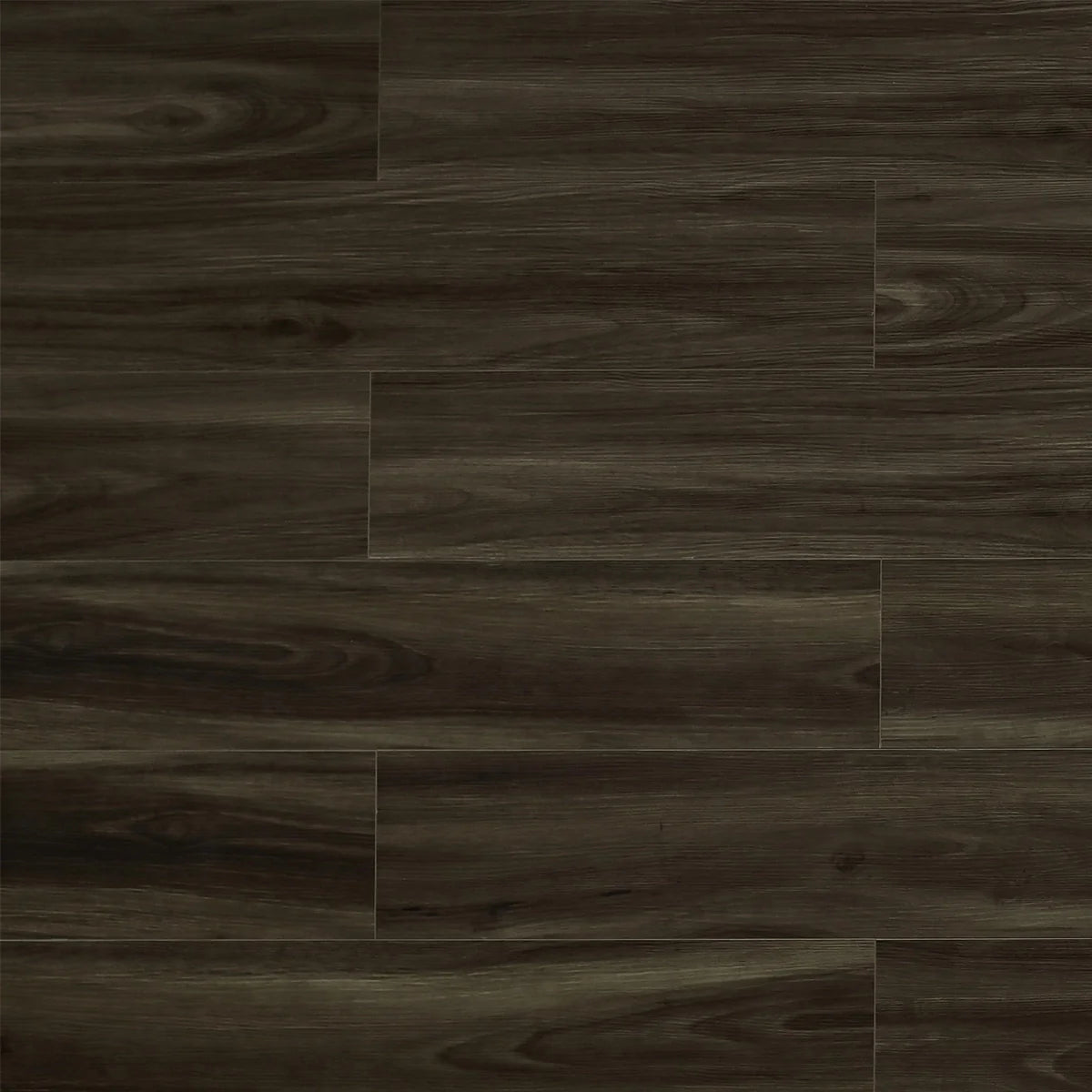 TFSPC601-F | Barcelona – Toucan