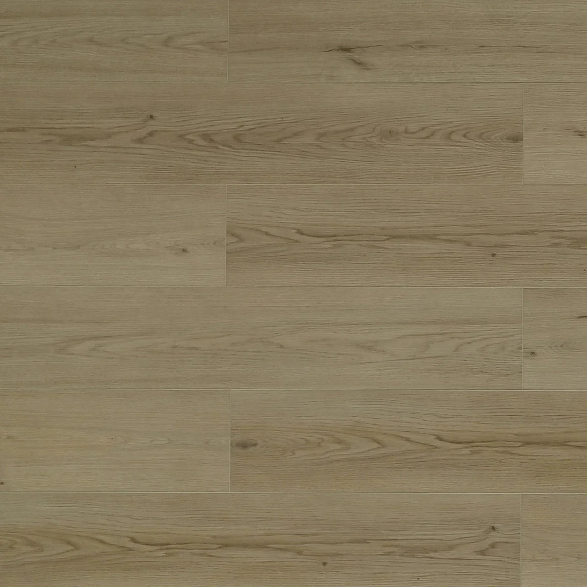 TFSPC608-F | Istanbul – Toucan