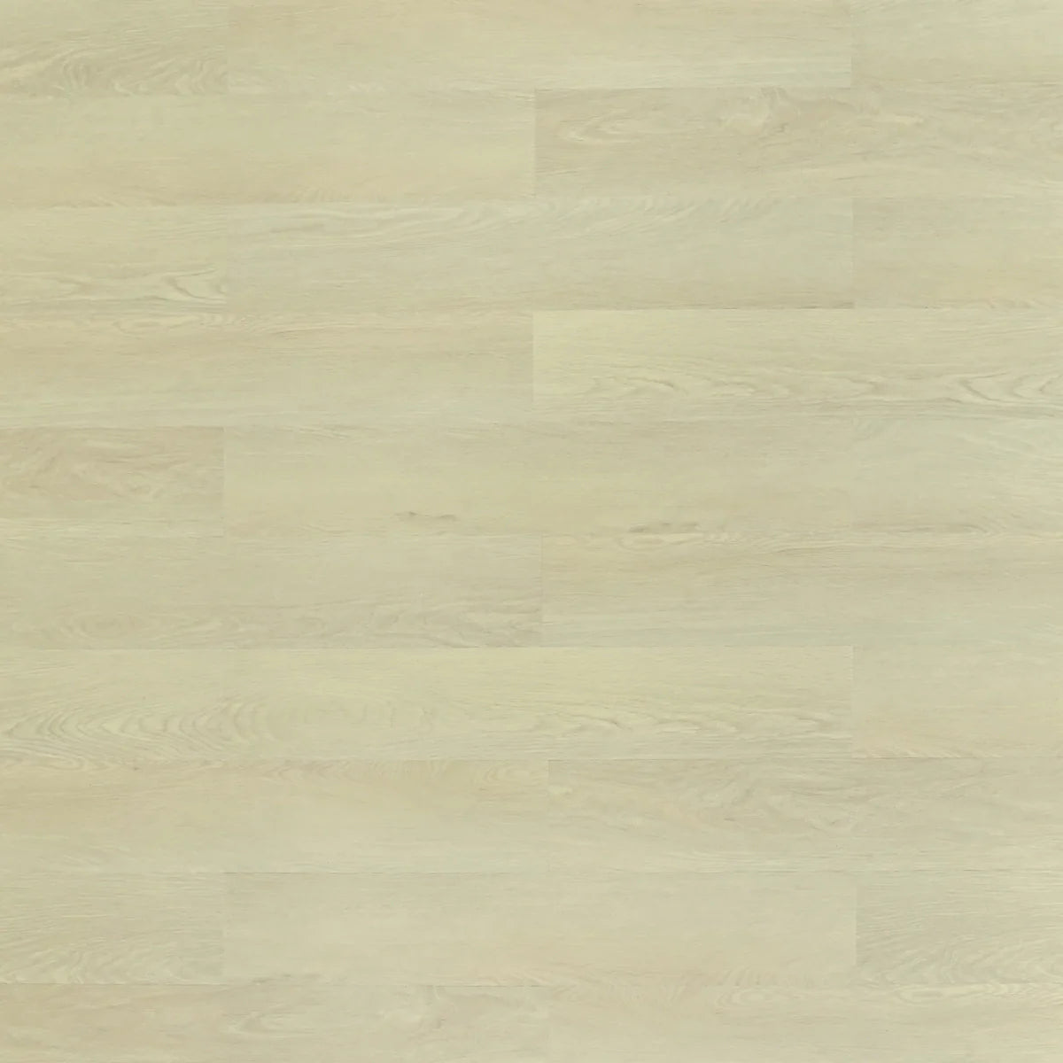 TFSPC709-F | Revere – Toucan