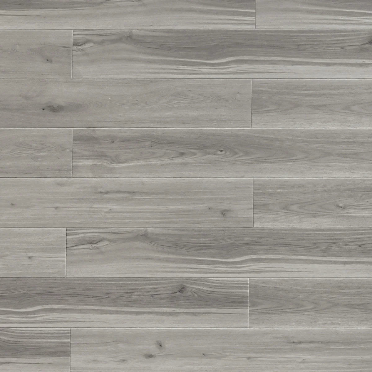 TFSPC904 | Sawn Maple – Toucan