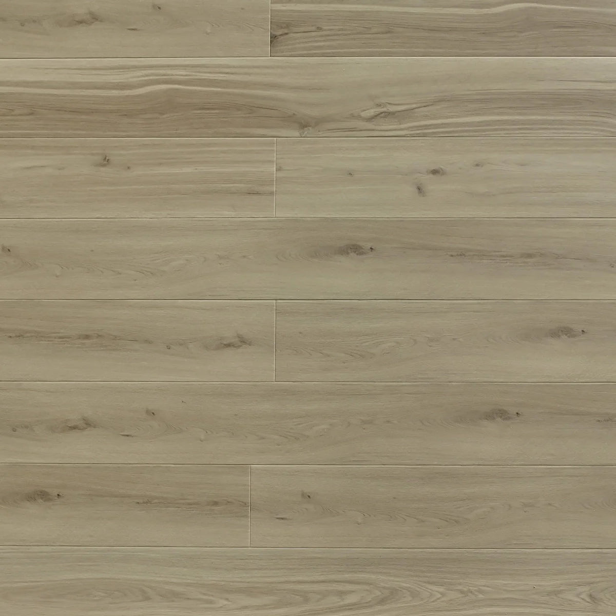 TFSPC909 | American Oak – Toucan