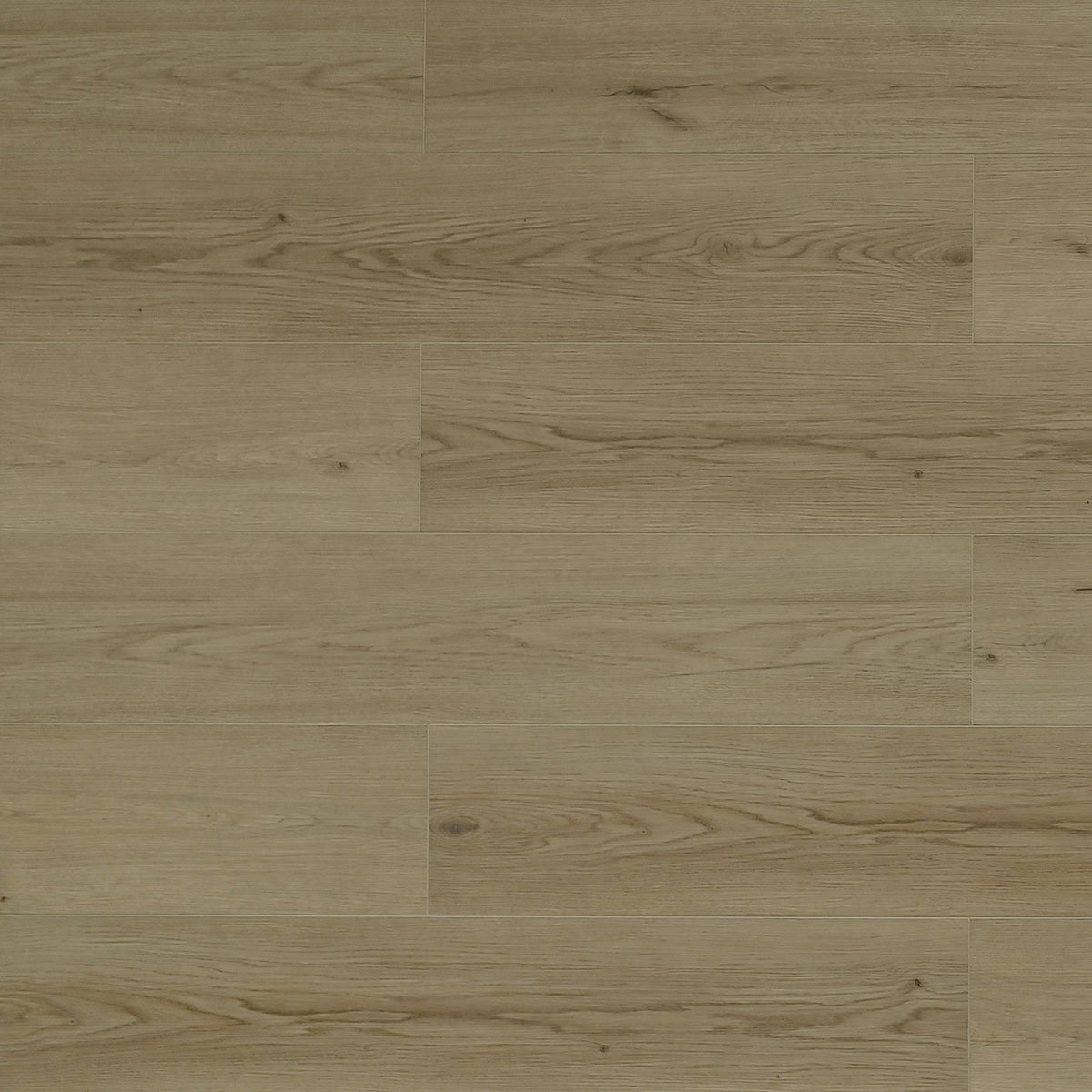TFL625 | Whistler Pine