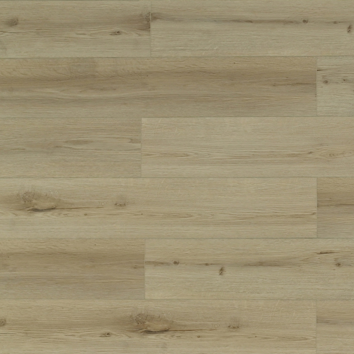 TFL627 | Honey Birch