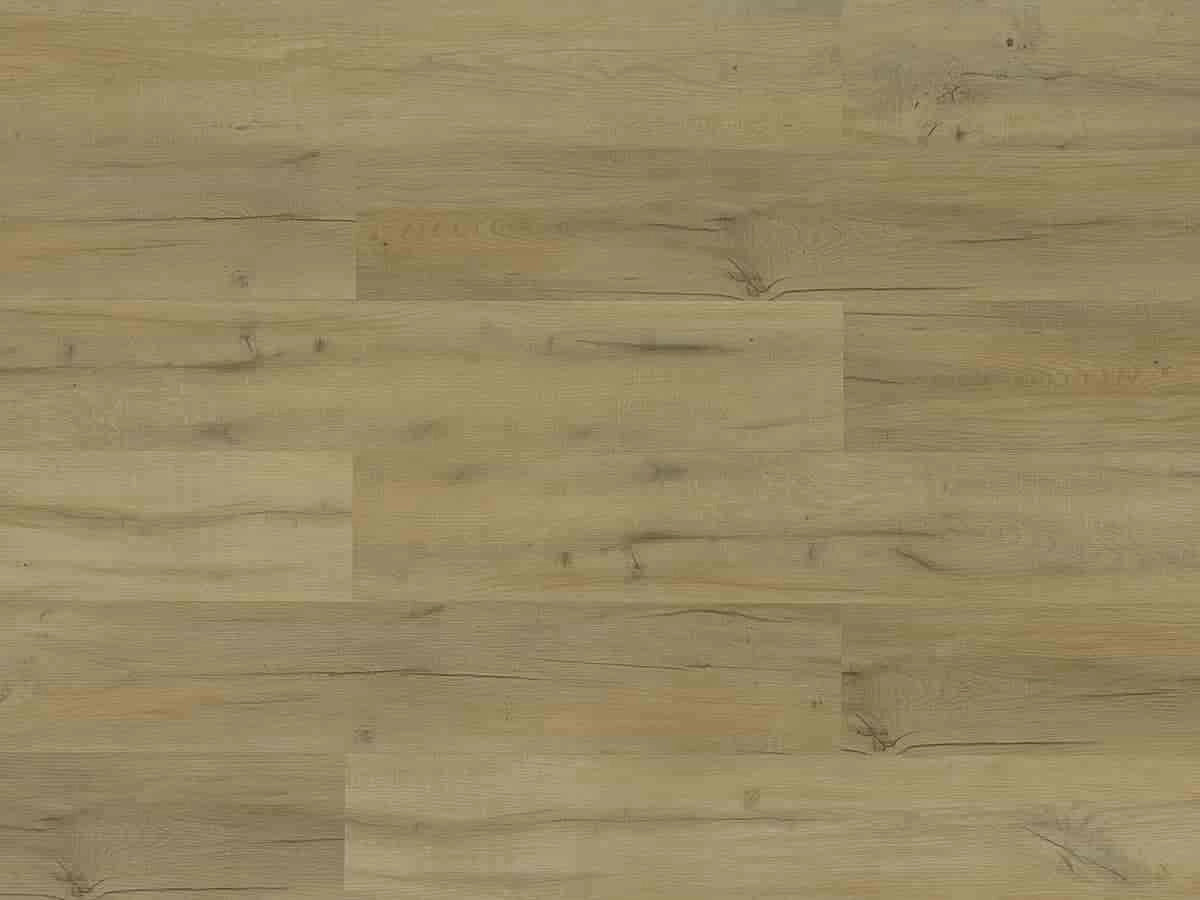 TFSPC127P-F | Ceaser – Toucan